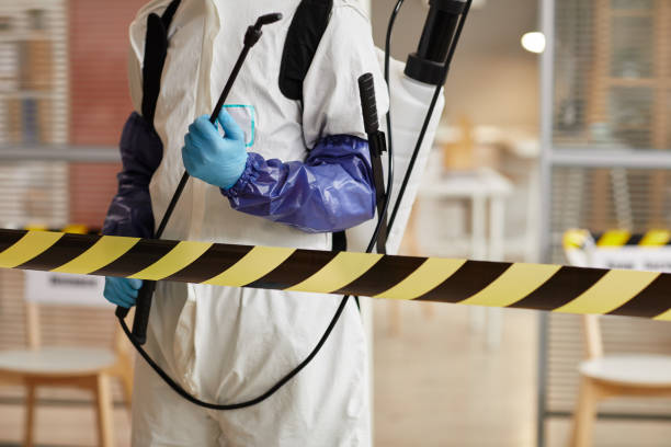Professional Hoarding Cleanup technician working in Floral Park, NY